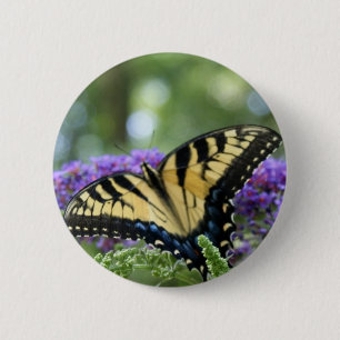 Schmetterling Button
