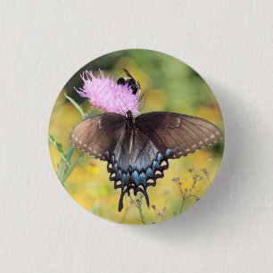 Schmetterling Button