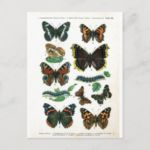 Schmetterling-Clip-Art-19 Postkarte