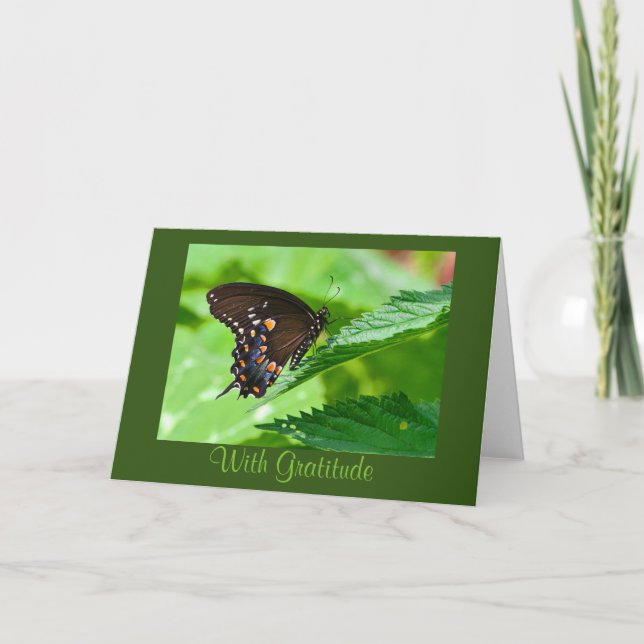 Schmetterling Danke Karte (Vorderseite)
