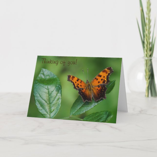 Schmetterling Denken Sie an Sie! Karte (Vorderseite)