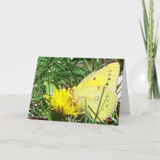 Schmetterling - Denken Sie an Sie Karte