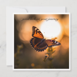 Schmetterling, der in den Sonnenuntergang fliegt, 