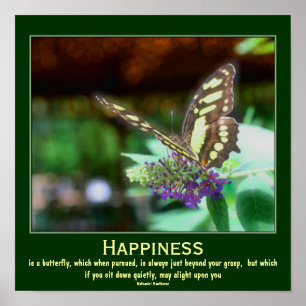 Schmetterling des Glücks Motivationszitat Poster