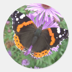 Schmetterling des roten Admirals Runder Aufkleber