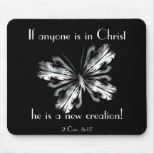 Schmetterling des silbernen Graus