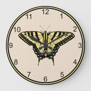 Schmetterling des Südwestens Gelber Schwalbenschwa Große Wanduhr
