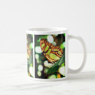 Schmetterling die Natur beobachten Kaffeetasse