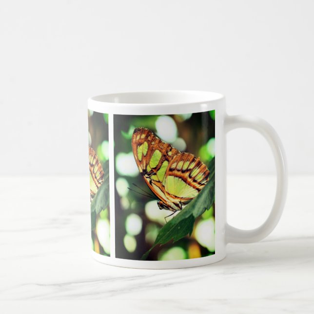 Schmetterling die Natur beobachten Kaffeetasse (Rechts)