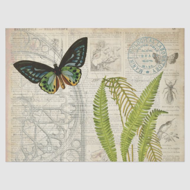 Schmetterling Ephemera Decoupage Papier (Vorderseite)