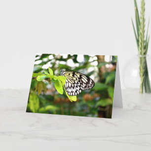 Schmetterling Feiertagskarte