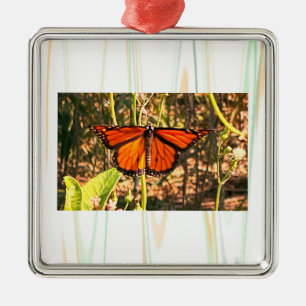 Schmetterling Foto Ornament  Aus Metall
