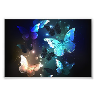 Schmetterling Fotodruck