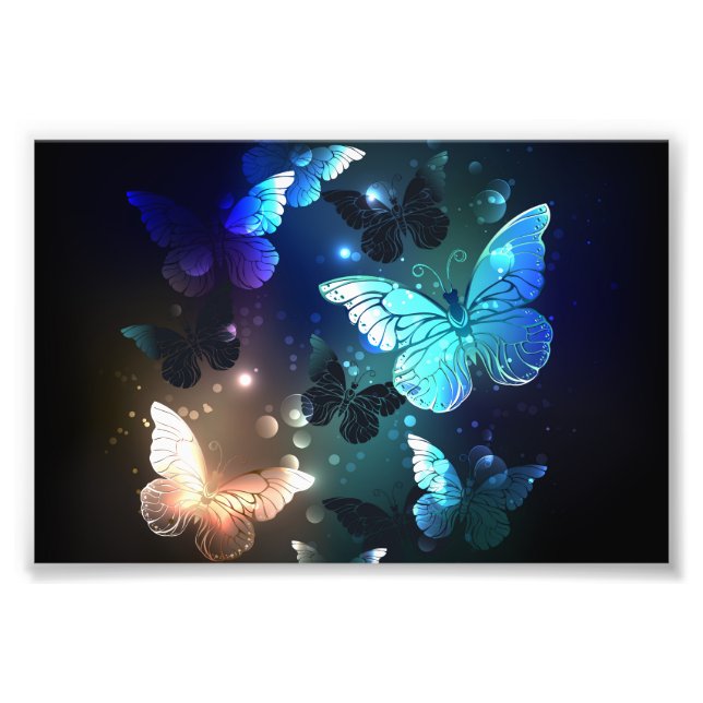 Schmetterling Fotodruck (Vorne)