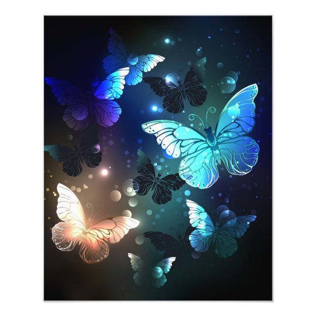 Schmetterling Fotodruck (Vorne)