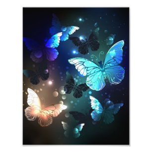 Schmetterling Fotodruck