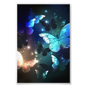 Schmetterling Fotodruck