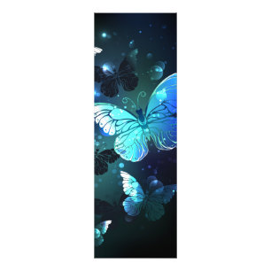 Schmetterling Fotodruck