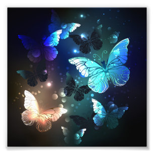Schmetterling Fotodruck