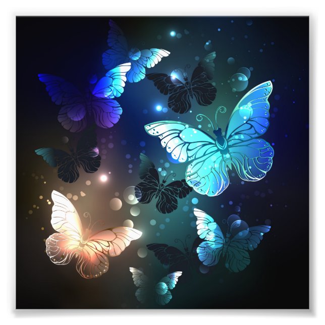 Schmetterling Fotodruck (Vorne)