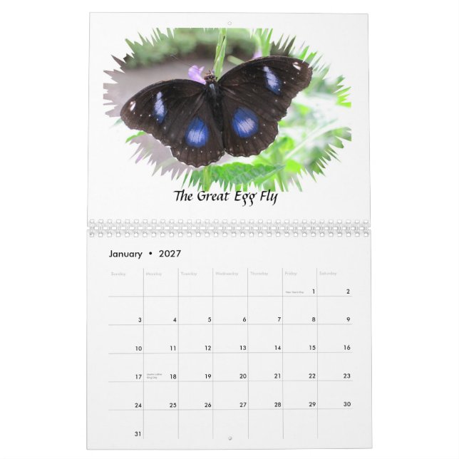 Schmetterling fotografiert Kalender 2012 (Jan 2027)
