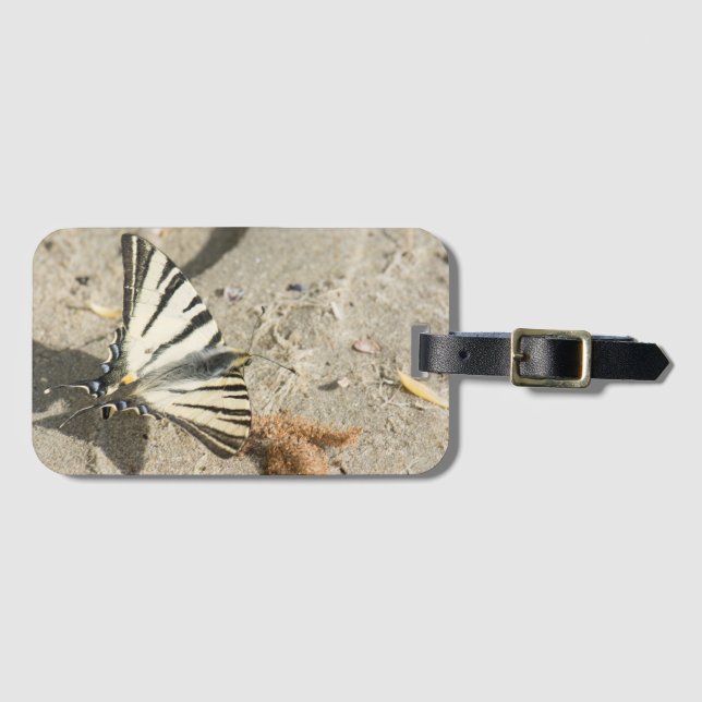 Schmetterling Gepäckanhänger (Vorderseite (Horizontal))