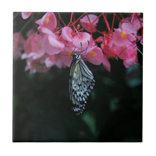 Schmetterling hängt an Blumen Fliese