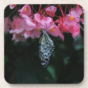 Schmetterling hängt an Blumen Getränkeuntersetzer