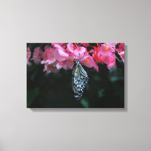 Schmetterling hängt an Blumen Leinwanddruck