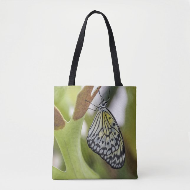 Schmetterling herauf nahe Taschentasche (Vorderseite)