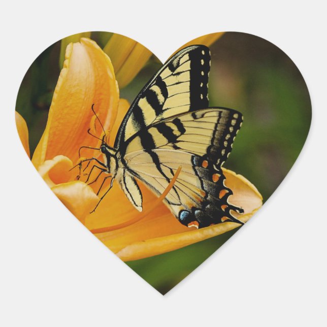 Schmetterling Herz-Aufkleber (Vorderseite)