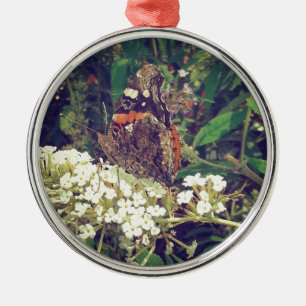 Schmetterling im Butterfly Bush Silbernes Ornament