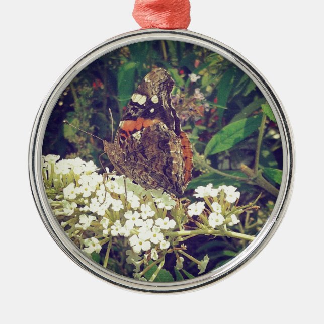 Schmetterling im Butterfly Bush Silbernes Ornament (Vorne)