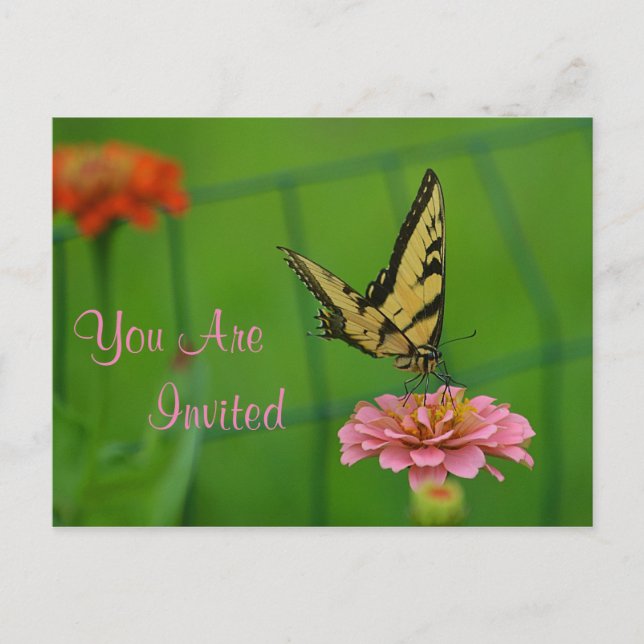 Schmetterling im Garten Einladung (Vorderseite)