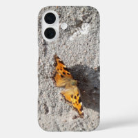 Schmetterling im Sonnenschein