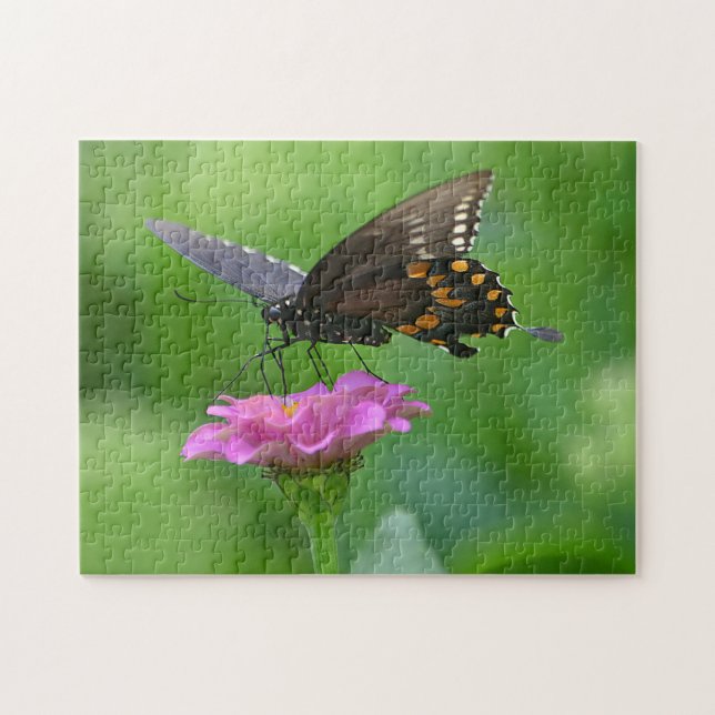 Schmetterling im Zinnia-Puzzle Puzzle (Horizontal)