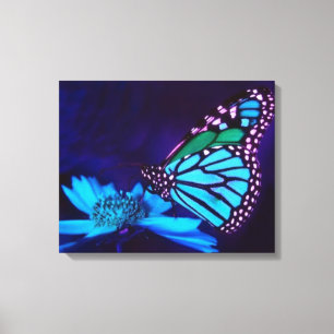 Schmetterling in Blue Light Canvas Print Leinwanddruck