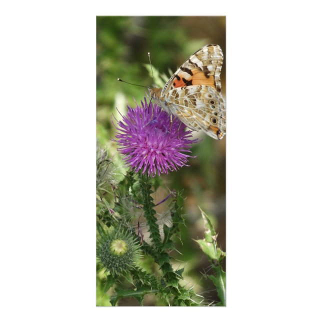 Schmetterling in Natursfotografie-Karte Werbekarte (Vorne)