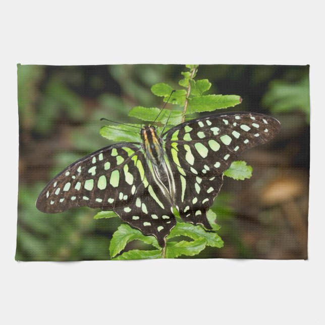 Schmetterling-Jay Geschirrtuch (Horizontal)