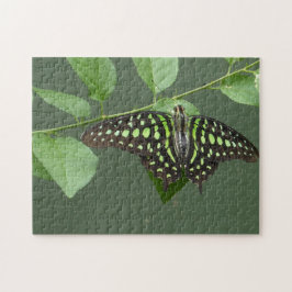 Schmetterling-Jay Puzzle