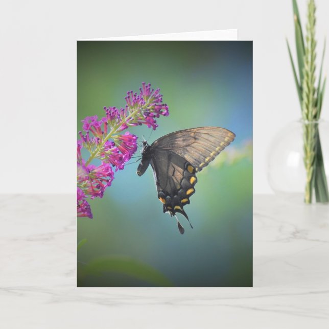 Schmetterling, Karte (Vorderseite)
