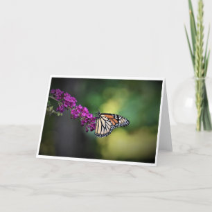 Schmetterling, Karte