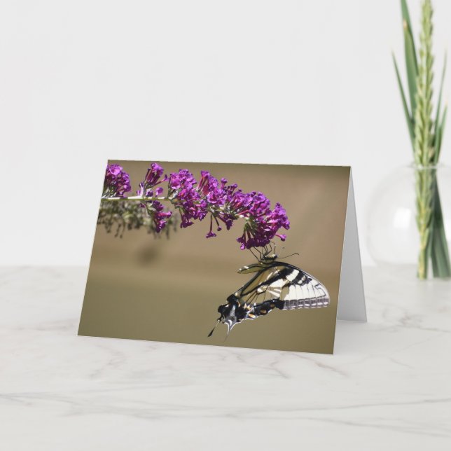 Schmetterling, Karte (Vorderseite)