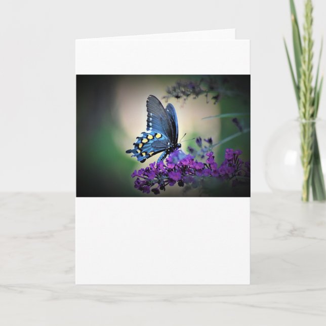 Schmetterling, Karte (Vorderseite)