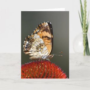 Schmetterling, Karte