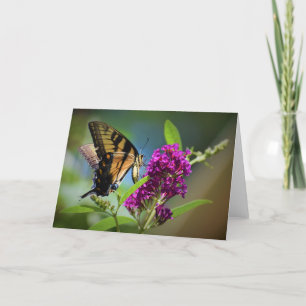 Schmetterling, Karte