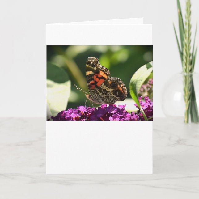 Schmetterling, Karte (Vorderseite)