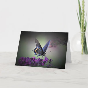 Schmetterling, Karte