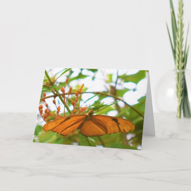 Schmetterling Karte (Vorderseite)