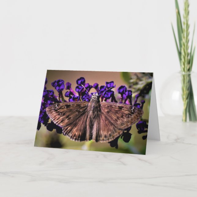 Schmetterling, Karte (Vorderseite)